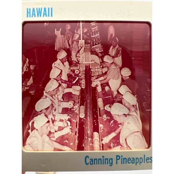 Vintage Pineapple & Sugar Cane Industries GAF Pana-Vue Travel Slides Hawaii - Picture 5 of 11